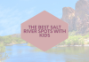 The Best Salt River Spots With Kids